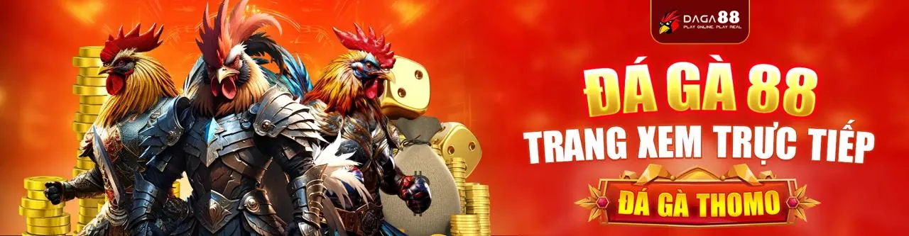 Đá Gà Trực Tuyến Hấp Dẫn tại Vbet